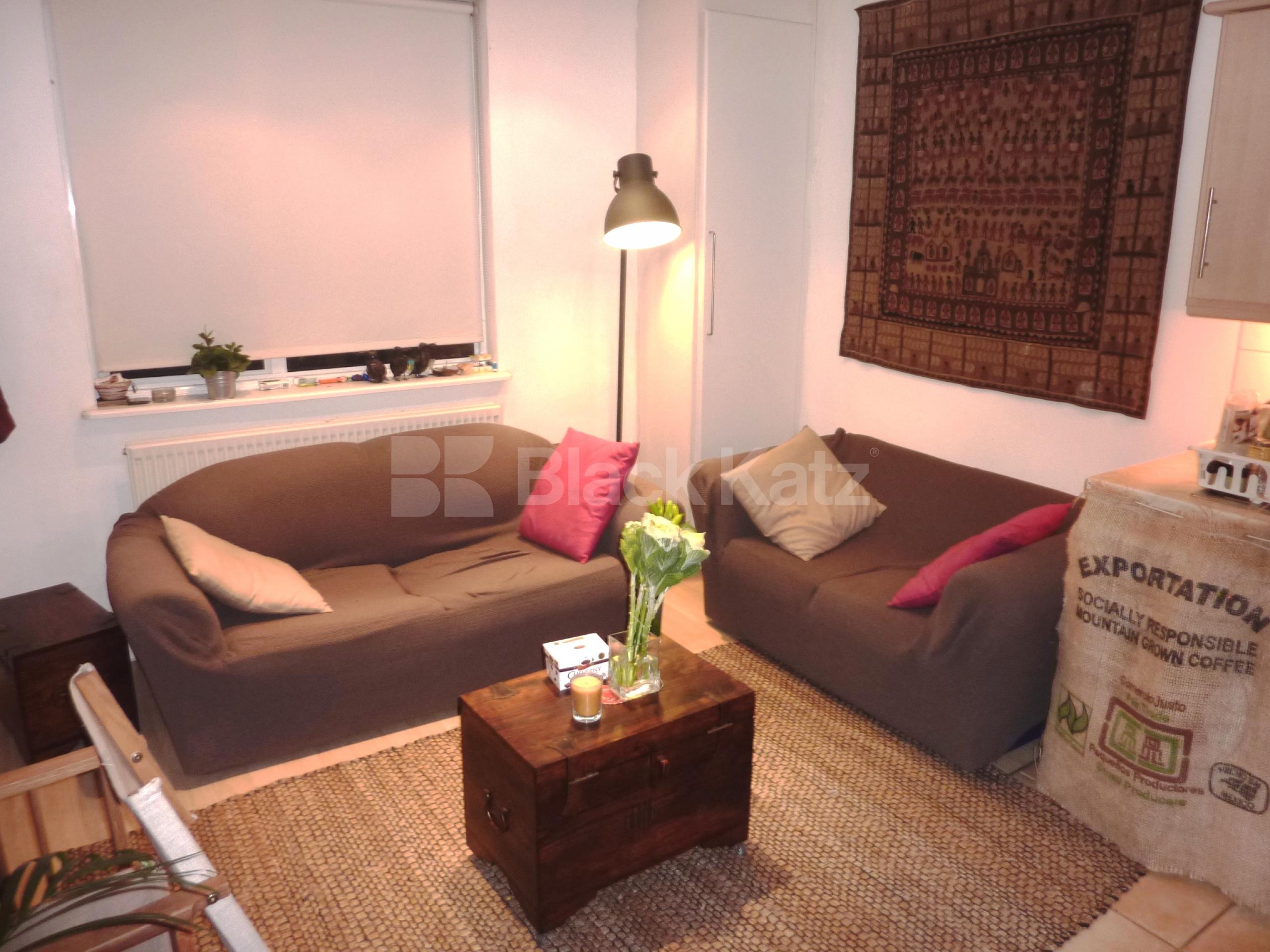 			NEW INSTRUCTION!, 1 Bedroom, 1 bath, 1 reception Flat			 Wicklow Street, KINGS CROSS WC1